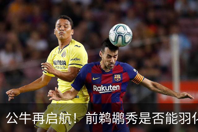 公牛再启航！前鹈鹕秀是否能羽化成蝶？