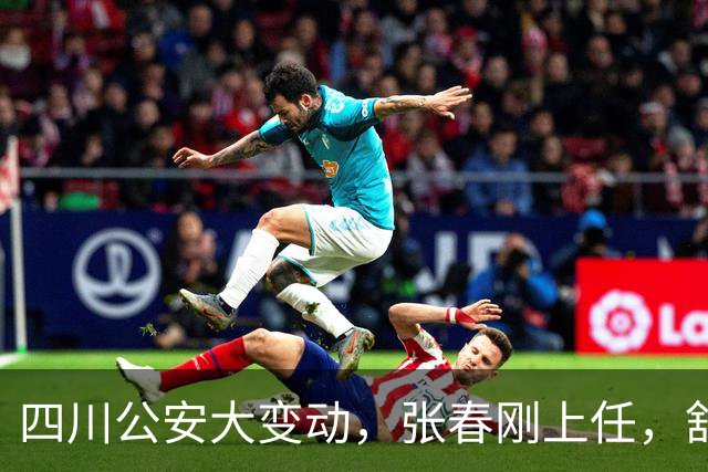 四川公安大变动，张春刚上任，舒文告别舞台