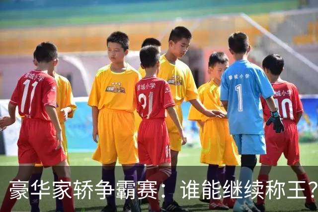 豪华家轿争霸赛：谁能继续称王？